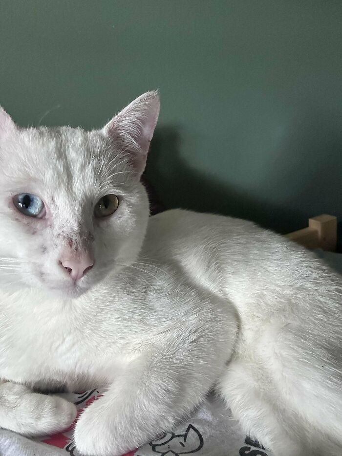 Just Adopted This Schmooze. His Name Is Casper!