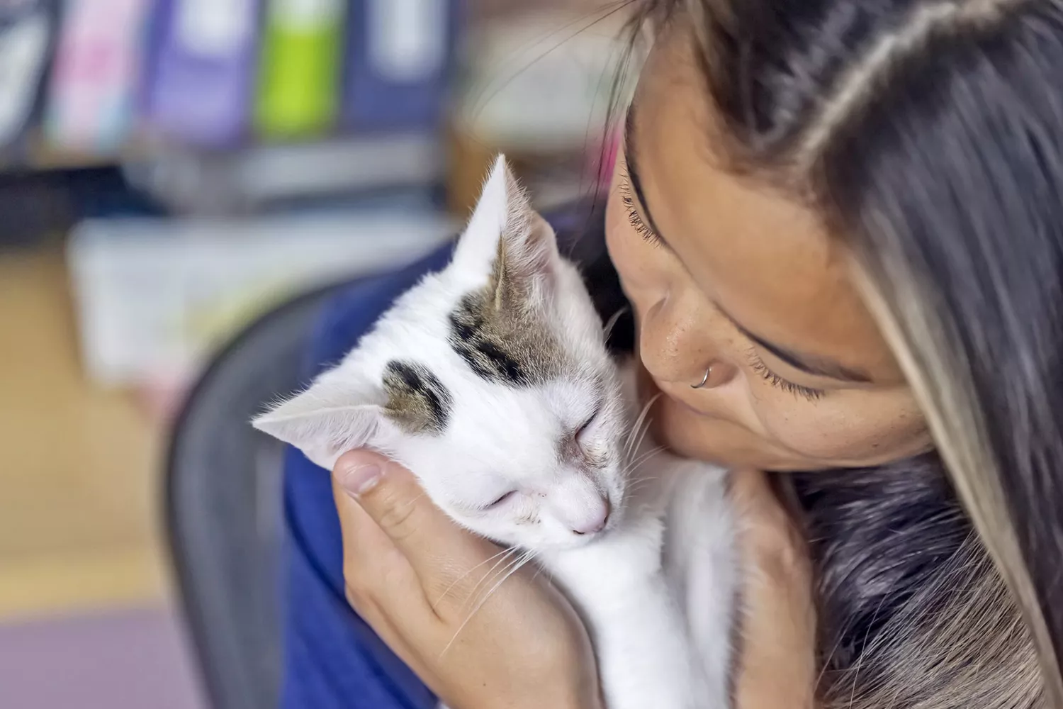 woman holding kitten with pink eye; common eye problems in cats